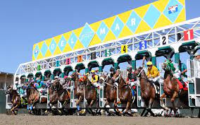 Tips for Handicapping a Horse Race - Five Simple Steps to Make a Machine - Called a Racing Board